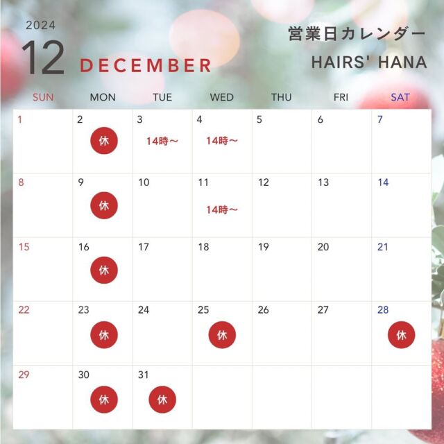 こんにちは！
藤井寺市、土師ノ里駅から徒歩2分🚶‍♀️
hairs’ haNaです🐈

12月の営業日のお知らせです📢⛄️

ご予約はお電話からお待ちしております📞

#藤井寺美容院 #土師ノ里美容院 #藤井寺 #藤井寺市 #藤井寺市着付け #土師ノ里 #土師ノ里美容室 #着付け #女性スタイリスト #美容院 #美容室